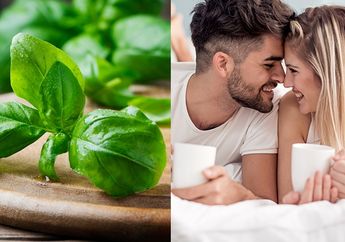 Suka Makan Daun Kemangi Bersama Pecel Lele? Selamat, Suami Pasti Jadi Makin Sayang karena Hal ini Terjadi Pada Tubuh Anda