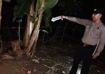 Lagi Kerja Bakti, Warga Kebumen Tiba-tiba Heboh saat Temukan Granat Nanas, Diduga Peninggalan Perang Dunia!