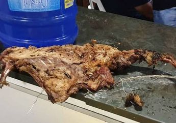 25 Warga Alami Mual Hingga Muntah Setelah Nekat Konsumsi Daging Anjing, Inilah 3 Efek Samping Konsumsi Daging Anjing, Nomor 3 Akibatnya Fatal!
