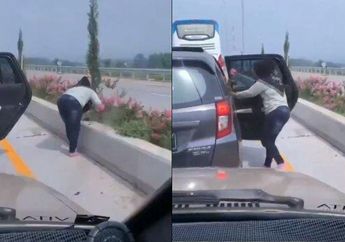 Seorang Gadis Terekam Mencuri Bunga di Pembatas Jalan Tol, Warganet: 'Kasian Bunganya Kepanasan, Makanya Dibawa Masuk Mobil'