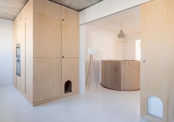 Butuh Papan Lebar dan Besar? Pakai Plywood saja Gantikan Kayu Solid!
