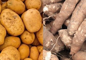 Sering Dikonsumsi, Siapa Sangka Jenis Bahan Makanan Ini Ternyata Bisa Bikin Keracunan! Ini Alasannya