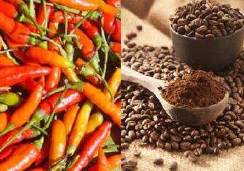 Banyak Tikus Berkeliaran di Rumah Anda? Gunakan Bahan Makanan Alami Ini, Dijamin Ampuh Mengusirnya!