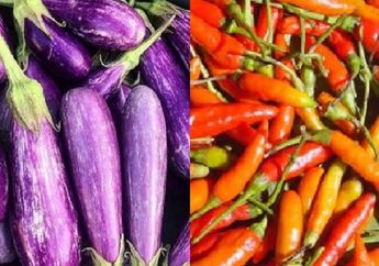 Berita Terpopuler Hari Ini, Dari Bahan Makanan untuk Usir Tikus Sampai Sayuran yang Bisa Picu Penyakit Mematikan Jika Dimakan Mentah