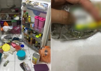 Ditawar Rp 1,7 Juta per Biji, Awalnya Pasangan Ini Hanya Bersih-bersih Kulkas dan Temukan Kacang Hijau 20 Tahun Silam, Kok Bisa?
