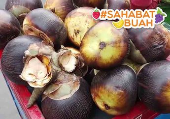 Bukan Cuma Atasi Stres, #SahabatBuah Harus Tahu Manfaat Fantastis Buah Lontar, Bisa Cegah Diabetes Sampai Bersihkan Ginjal!