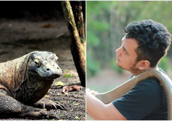 Putranya Disebut-sebut Tewas Gara-gara Dimakan Komodo, Ibu Panji Petualang Sampai Stres Diomelin: Elu Gimane Sih, Anak Lu Mati Kagak Ngomong-ngomong!