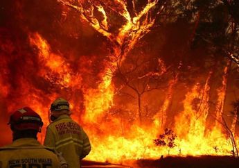Apple Lakukan Donasi Untuk Tuntaskan Kasus Kebakaran Lahan Australia