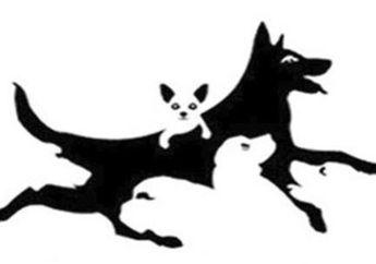 Perhatikan Gambar Ini Tebak Berapa Jumlah Anjing dalam Gambar Ini, Tebakan Anda Akan Mengungkapkan Kepribadian Anda