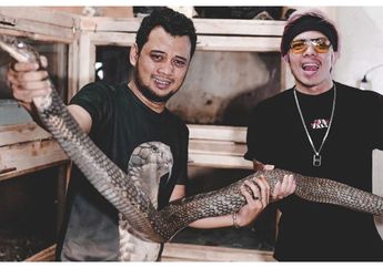 Akui Kerap Digigit Ular Kobra Peliharaannya Saat Kasih Makan, Panji Petualang: Sakit Banget, Engap, Nyesek, Sesak Napas, Bengkak!