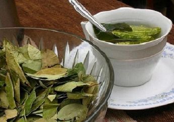 Jangan Diabaikan Lagi, Air Rebusan Daun Salam Ternyata Bisa Obati Sakit Ginjal Hingga Jantung! Segera Minum Mulai Sekarang
