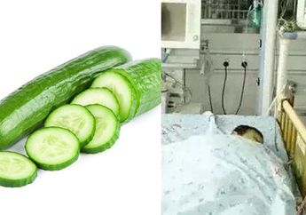 Makan Timun yang Disimpan di Kulkas, Bocah 4 Tahun Ini Kritis Hingga 7 Kali Tranfusi Darah! Kebiasaan Sepele Ini Jadi Penyebabnya