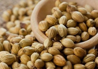 Sering Jadi Bumbu Masakan, Siapa Sangka Ketumbar Bisa Berbahaya Untuk Tubuh Bila Dikonsumsi dalam Kondisi Ini! Segera Hindari