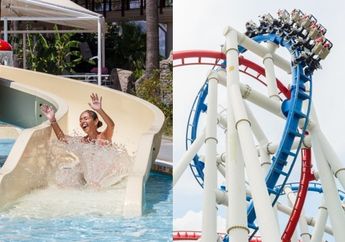 Roller Coaster VS Seluncur, Pilihan Wahana yang Kamu Suka akan Menunjukkan Kepribadianmu!