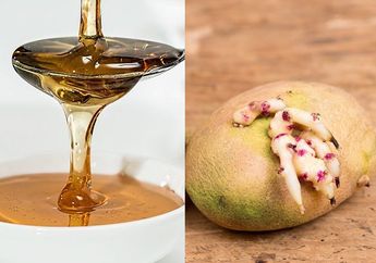 Dari Madu sampai Kentang, Deretan Makanan Sehat Ini Bisa Jadi Racun Kalau Diolah dengan Cara Salah! Anda Melakukannya?