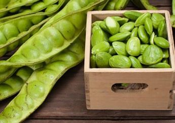 Jangan Lagi Buang Kulit Petai Mulai Sekarang, Ternyata Manfaatnya Luar Biasa, Bisa Obati Diabetes Hingga Asam Urat!