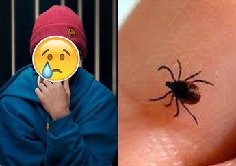 Bak Telan Pil Pahit, Penyanyi Terkenal Ini Divonis Dokter Penyakit Lyme Disease Setelah Digigit Kutu! Sakitnya Tak Bisa Disembuhkan!