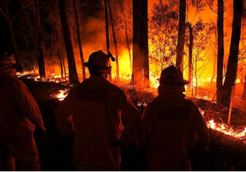 Kian Memburuk, Intip Fakta Kebakaran Hutan Terdahsyat di Australia!