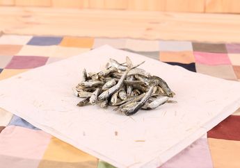 Jangan Lagi Anggap Rendah Ikan Teri! Ini Kehebatannya yang Jarang Kita Ketahui, Banyak Manfaatnya!