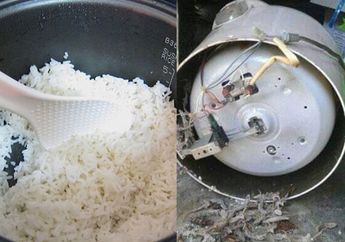Berita Terpopuler Hari Ini, Dari Pria Ini Shock Saat Bongkar Rice Cooker di Rumahnya sampai Nasi yang Didiamkan Lebih dari 12 Jam di Rice Cooker Bisa Jadi Racun