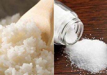 Jadi Pilihan Di Tanggal Tua, Makan Nasi dengan Garam Ternyata Punya Bahaya yang Tak Main-main Bagi Tubuh