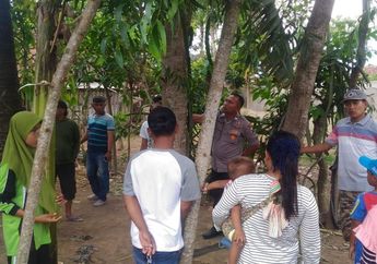 Desa Jember Dihebohkan dengan Adanya Pohon Menangis, Warga Menduga Penyebab dari Kejadian Aneh ini Karena Adanya Gesekan