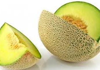 Jangan Lagi Simpan Buah Melon di Dalam Kulkas, Jika Tak Ingin Hal Buruk Ini Mengintai Tubuh! Begini Kata Ahli