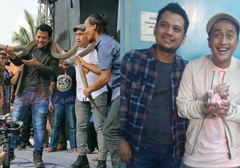 Rayakan Sunatan Anak, Panji Petualang Nekat Kalungkan Garaga si Ular King Kobra Raksasa di Leher Irfan Hakim, sang Artis Teriak Histeris