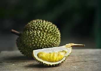 Durian Tak Hanya Lezat Tapi Punya 5 Khasiat ini Bagi Tubuh, Salah Satunya Bantu Meningkatkan Kesuburan