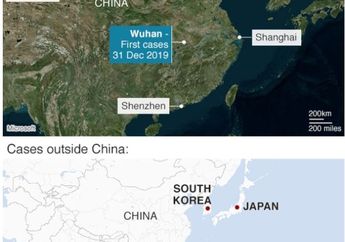 Mirip Penyakit SARS, Virus Wuhan Semakin Mewabah dan Bisa Menular Lewat Manusia Kini Sampai ke Korea Selatan, WHO Sampai Lakukan Tindakan Darurat Ini