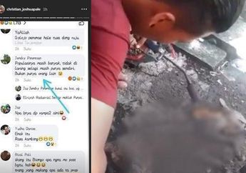 Banjir Makian, Pria Ini Bakar Kucing Pakai Las dan Memakan Dagingnya, 'Langsung Post Cara Membunuh dan Memasak Daging Kucing'