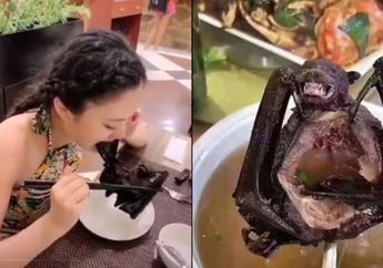 Berawal dari Kisah Tragis yang Terjadi 50 Tahun Ini Terungkap Inilah Alasan Orang-orang di China Gemar Makan Satwa Liar