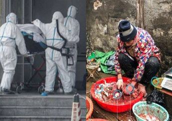 Bikin Bulu Kuduk Merinding, Ternyata Begini 'Joroknya' Pasar Tradisional di Kota Wuhan yang Tewaskan 26 Orang Akibat Virus Corona