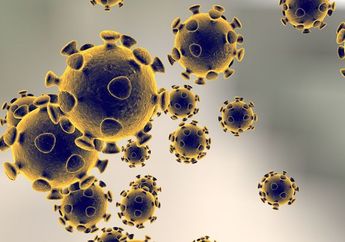Viral Suasana Mencekam Rumah Sakit Dipenuhi Mayat Virus Corona Bergelimpangan, Disebut-sebut Akibat Daging Hewan Liar