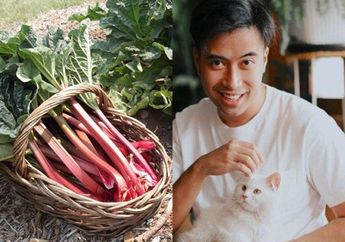 Menilik Tanaman Obat yang Dapat Sembuhkan Sel Kanker Hanya dalam 48 Jam, Penyakit yang Sempat Dirasakan Vidi Aldiano