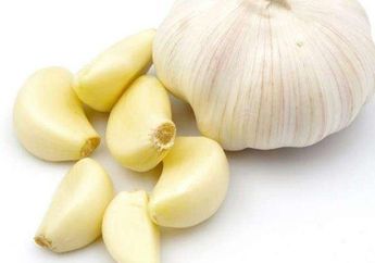 Lihat Tetangga Perutnya Bisa Langsing Tanpa Perlu Diet, Ternyata Cuma Rajin Kunyah Bawang Putih, Kok Bisa?