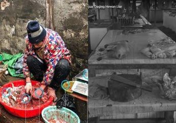 Omset Malah Naik Karena Isu Virus Corona, Intip Kondisi Pasar di Indonesia Ini yang Juga Jual Anjing, Tikus sampai Kelelawar Siap Masak!