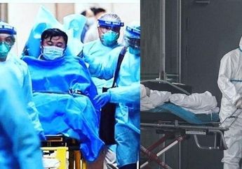 Di Balik Mewabahnya Virus Corona, Ada 3 Berita Baik Bagi Umat Manusia Salah Satunya Ilmuwan Berhasil Menduplikatnya Untuk Hal Ini