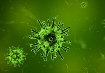 Mutasi Virus Corona Kemungkinan Telah Ditemukan Peneliti China, Ancaman Gelombang 2 Covid-19 yang Lebih Besar Sudah Berada di Depan Mata