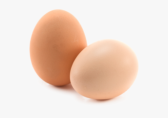 Makan 2 Butir Telur Setiap Hari Bisa Datangkan 5 Manfaat Luar Biasa Ini Lho! Coba Yuk!