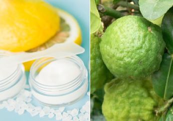 BERITA TERPOPULER, Manfaat Irisan Lemon dengan Taburan Garam Sebelum Tidur Sampai Manfaat dari Jeruk 'Berkutil'