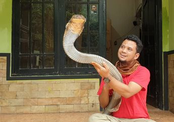 Merinding, Dihantui Mimpi Buruk Soal Ular Kobra Garaga Kesayangan Hingga Kebakaran Hutan Besar-besaran, Panji Petualang: Gue Harus Kesana Secepatnya!
