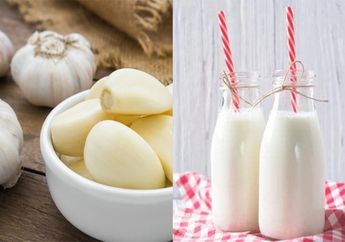 Tampak Aneh, Minum Susu Campur Bawang Putih Ternyata Miliki Manfaat Tak Terduga Bagi Tubuh! Begini Cara Buatnya