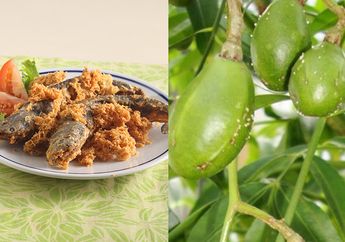 BERITA TERPOPULER, Benarkah Konsumsi Ikan yang Makan Kotoran Bisa Berbahaya sampai Kedondong Bisa Cegah Penyakit Mematikan Ini