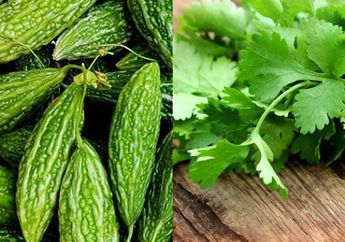 Berita Populer Kuliner Hari Ini, Dari Manfaat Air Rebusan Pare Sampai Manfaat Daun Seledri Untuk Tubuh