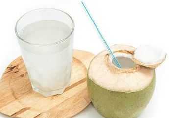 Dijuluki Air Segudang Manfaat, Siapa Sangka Orang-orang dengan Kondisi Ini Dilarang Keras Minum Air Kelapa! Segera Hindari