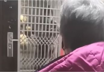 Hanya Bisa Saksikan Anaknya Dikarantina di Rumah karena Virus Corona, Seorang Ibu Menangis karena Tak Bisa Merawat Putranya!