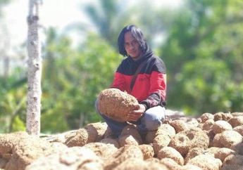 Ubah Pemulung Jadi Miliarder, Siapa Sangka Tanaman yang Dulu Dibuang-buang Ini Ternyata Dapat Bikin Kaya Raya: Hasilkan Rp 12,5 Juta Per Hektar