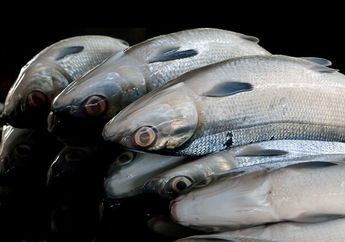 Manfaatnya Luar Biasa, Ini yang Terjadi Pada Tubuh Bila Rutin Konsumsi Ikan Bandeng