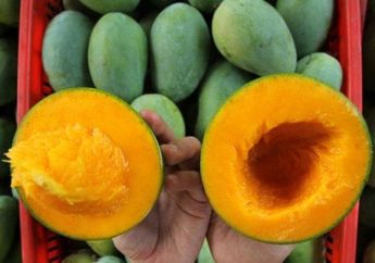 Dagingnya Bikin Diabetes, Biji Mangga Justru Bisa jadi Obat Ampuh Menurunkan Gula Darah! Ini Kata Ahli!